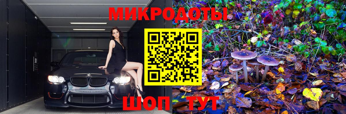 где продают   Галлюциногенные грибы MAGIC MUSHROOMS  Вход с VPN  Галлюциногенные грибы прущие грибы  Избербаш 